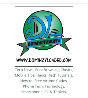 Dominzyloaded logo and about us page