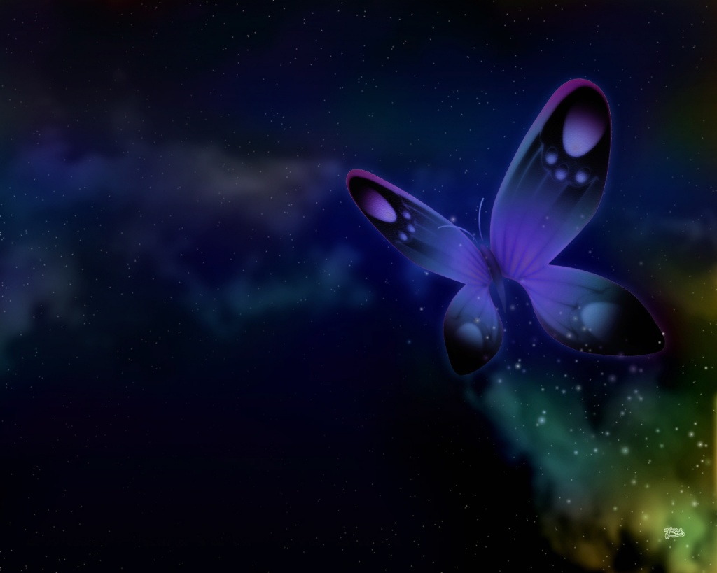 black and purple butterfly black and purple butterfly
