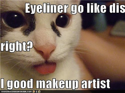 Social Commentary in LOLcat - Eyeliner go on like dis right?  I good makeup artist