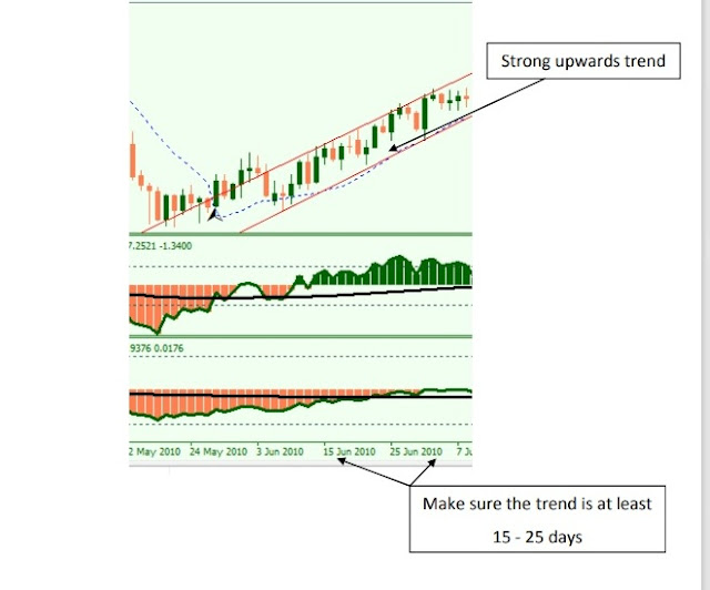 Forex Pip Rider