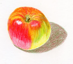 apple draw pencil step colored easy sketch drawing