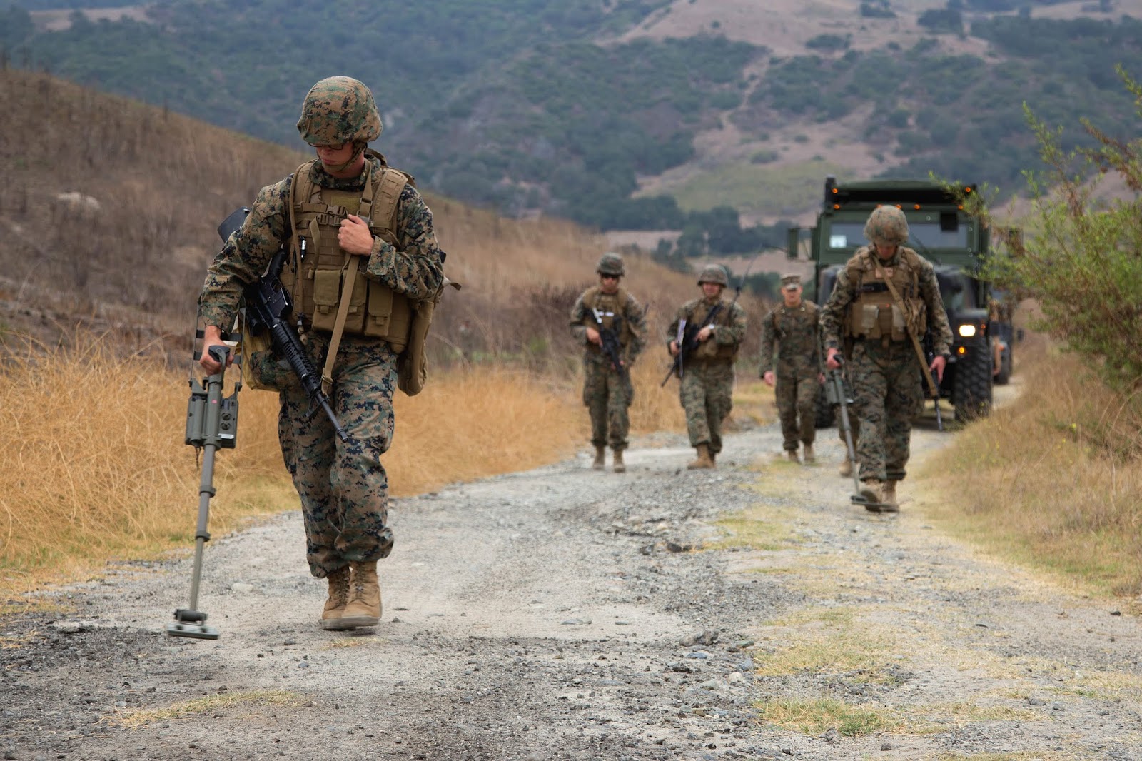 Combat Engineering Equipment Mini Mine Detector Acquisition Project