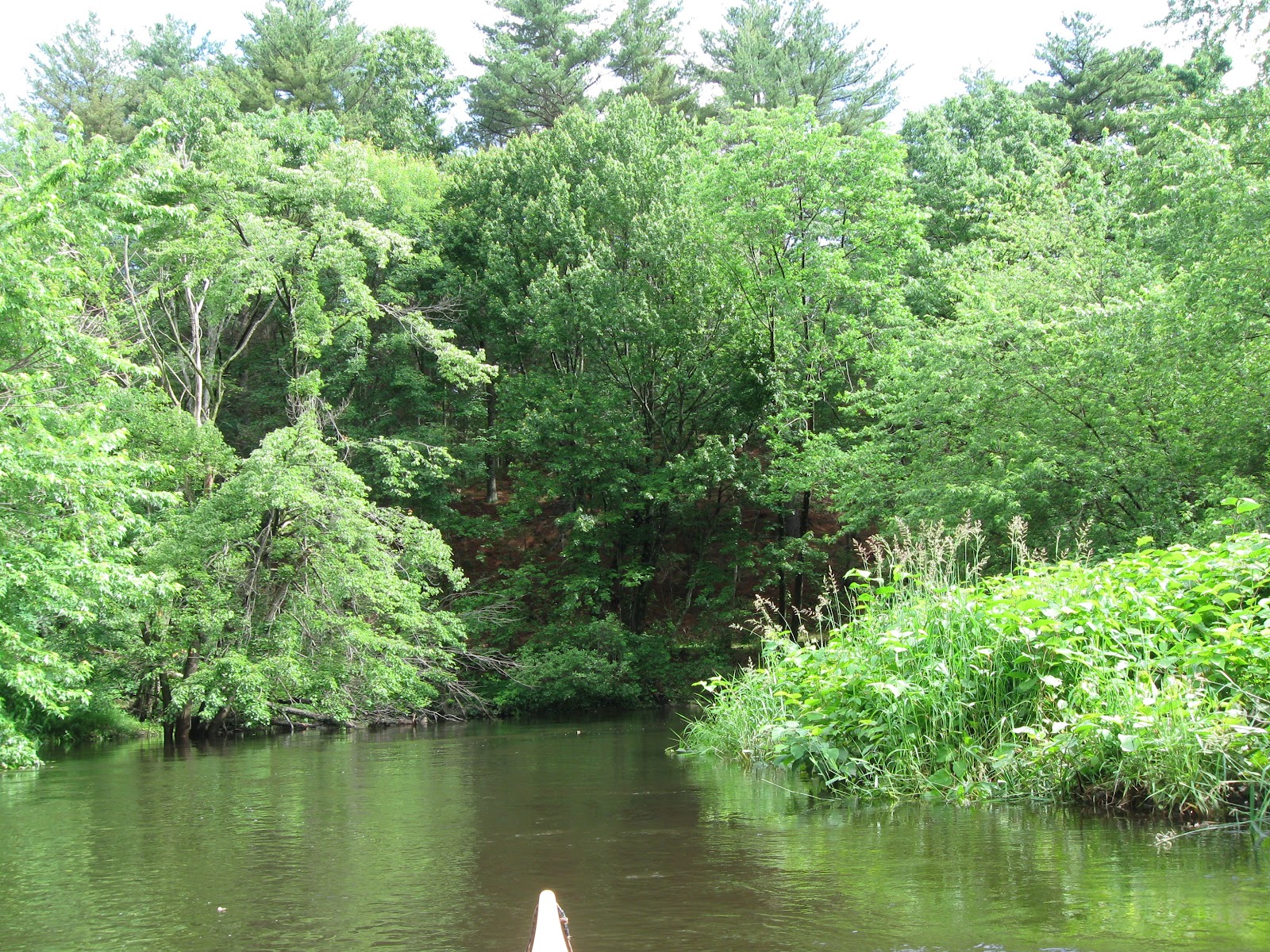 Trashpaddler Nashua River Bolton Flats