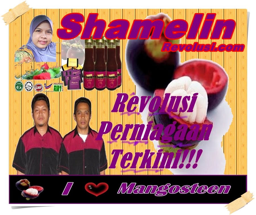 ShamelinRevolusi.com