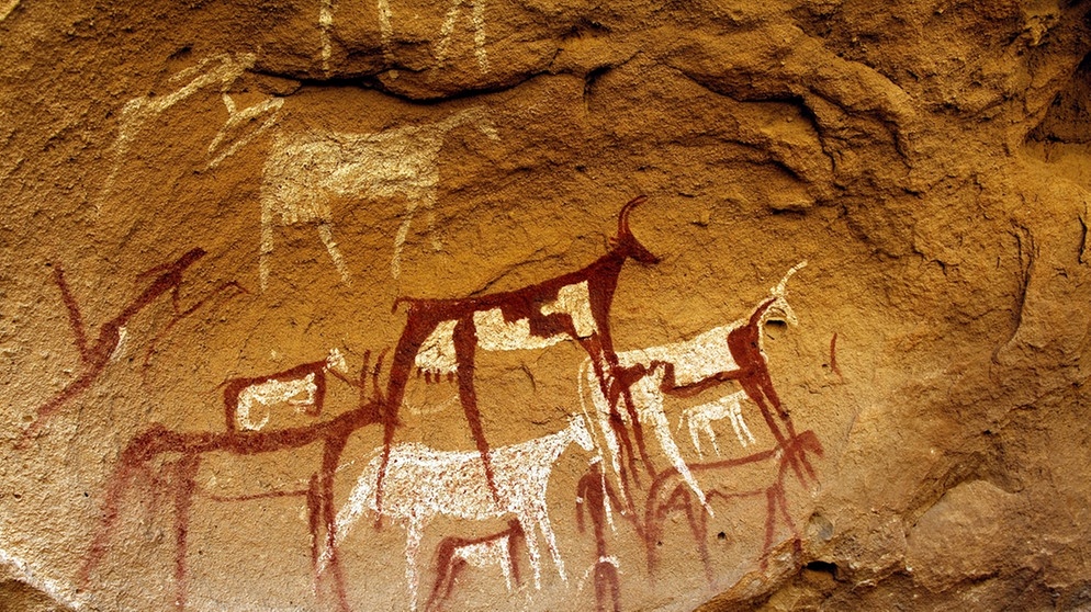 Entdecke die Magie der Bilder: Wie "Sieseby Bilder" Dein Leben Bereichern Kann
