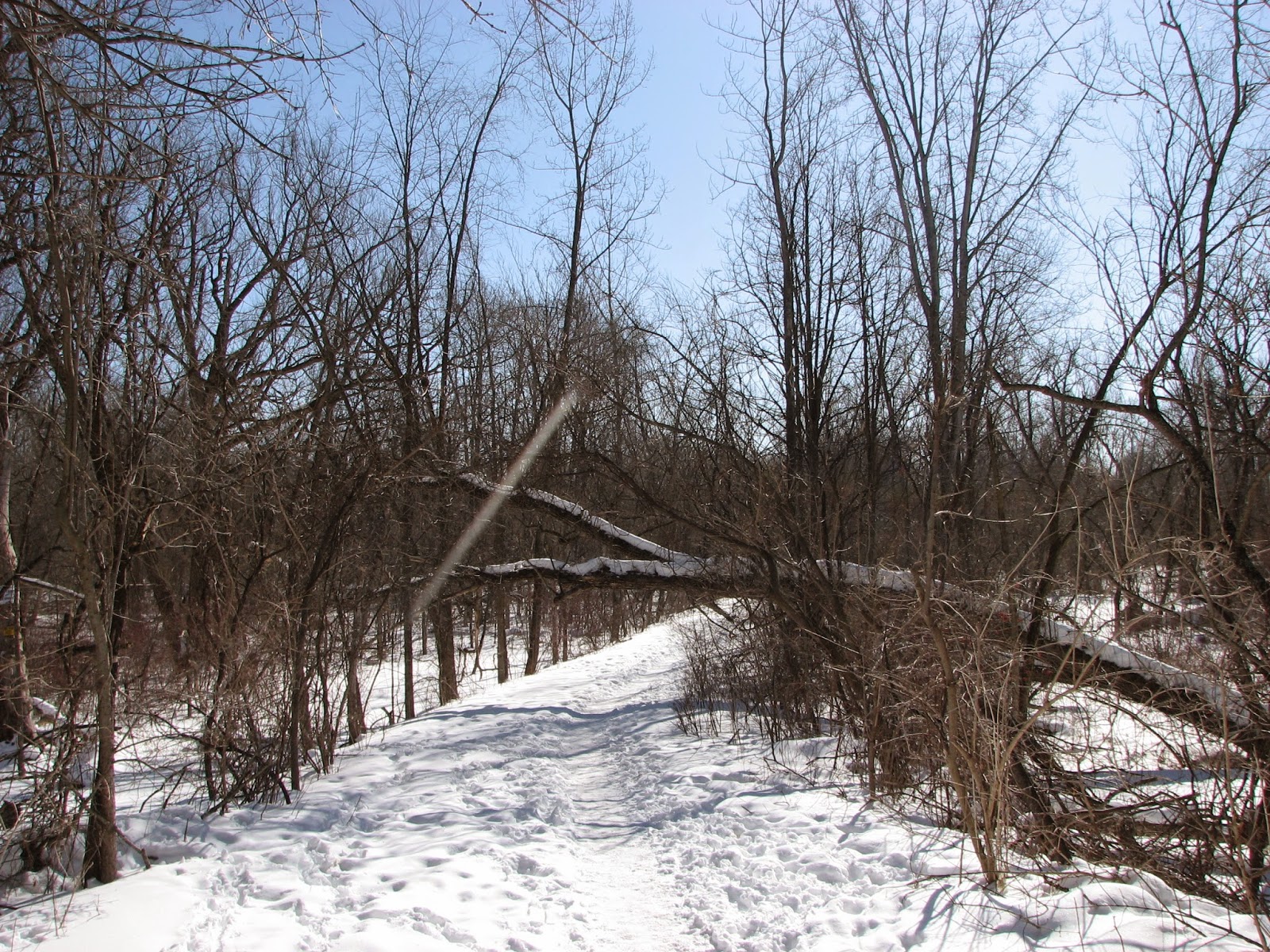 Woodside Natural Area, nature trailsWVPD. (Photos). In search of the
