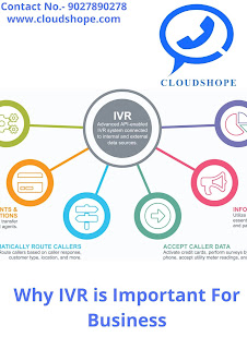 Why IVR is Important For Business
