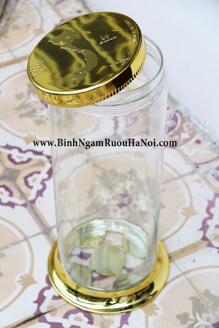 Binh hinh tru mieng lon ngam dinh lang 17 lit