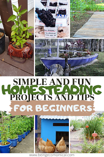 Homesteading Projects And Tips For Beginners - Being Ecomomical