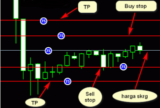 How To Trade When News Comes (How to Open Position) How To Trade When News Comes (How to Open Position)
