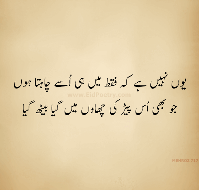 Urdu Poet Tehzeeb Hafi Shayari Poetry