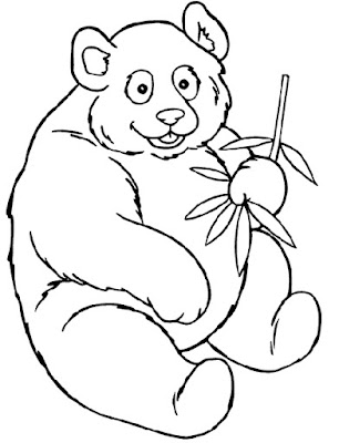 bambu ve panda