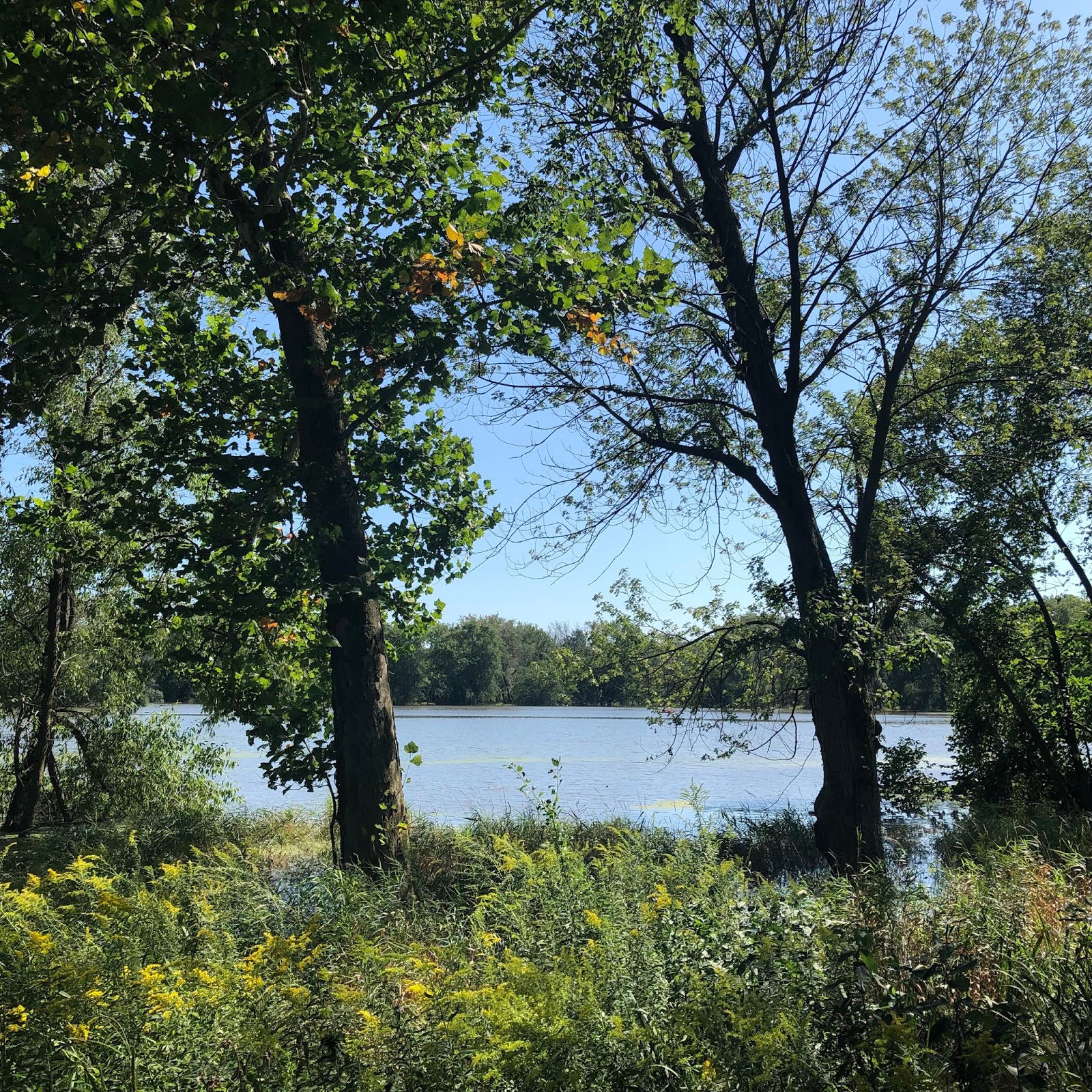 A Little Time and a Keyboard Skokie Lagoons Stunning Water Wonderland in the Chicago Suburbs