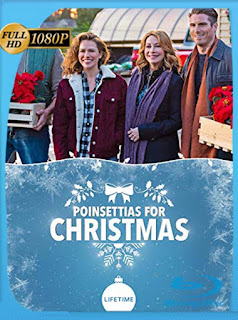 Poinsettias for Christmas (2018) HD [1080p] Latino [GoogleDrive] SXGO