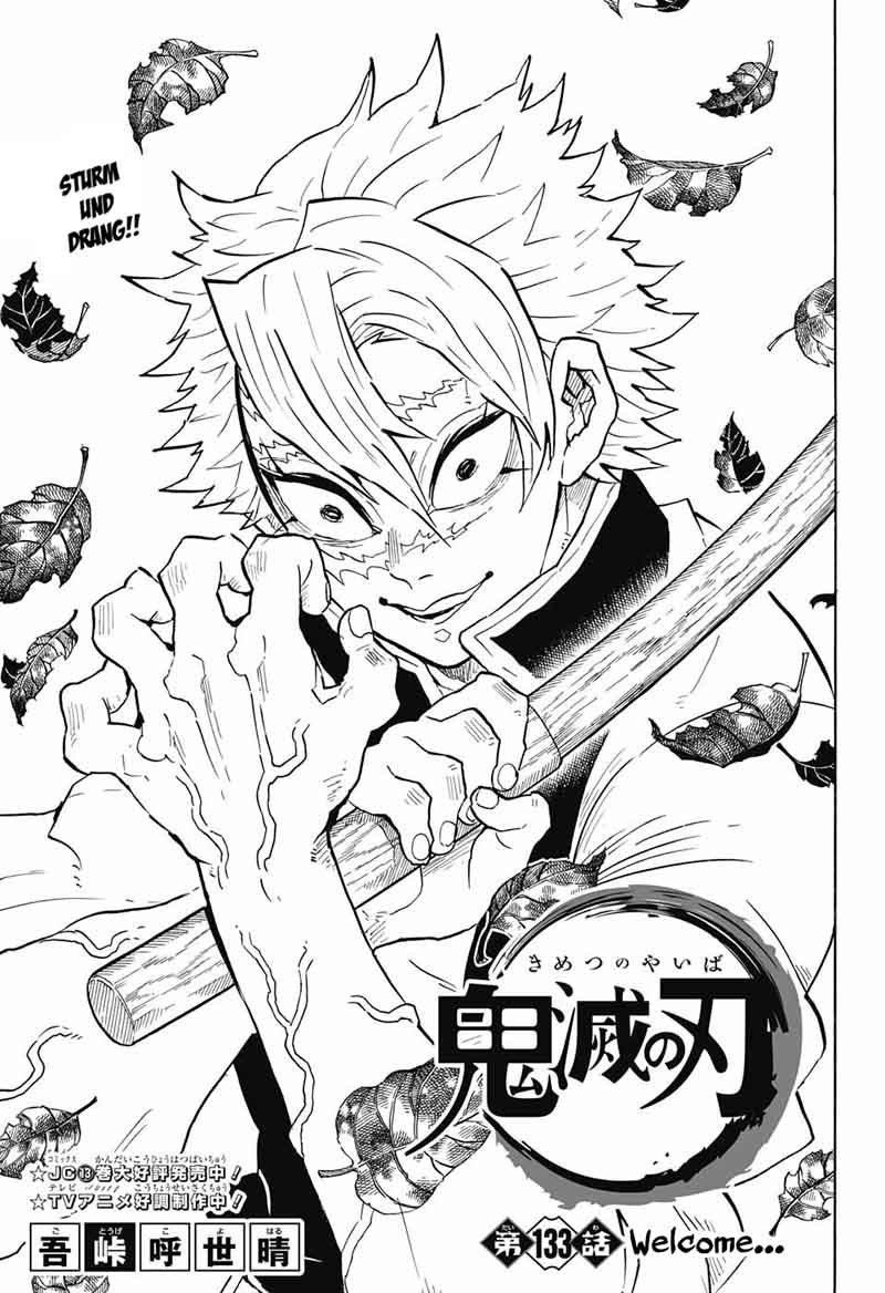 Demon Slayer Kimetsu No Yaiba Chapter 132 Demon Slayer Kimetsu No Yaiba Manga