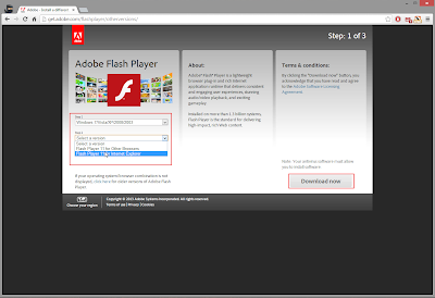 Правильная установка Adobe Flash Player