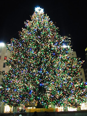 Navidad en Nueva York, Ciudad-USA (5)