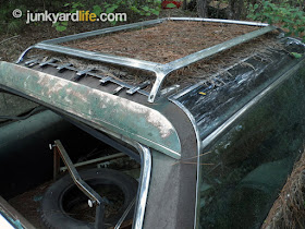 Even covered in years pine straw the shiny roof rack gleams.
