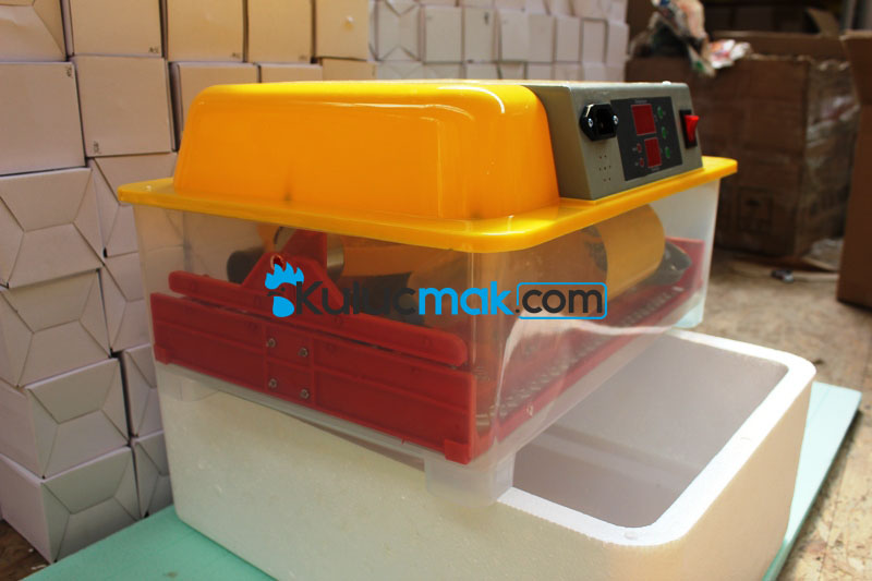 Yeni Strafordan Kulucka Makinasi