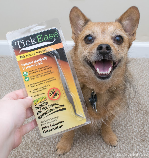 TickEase Tick Removal Tool for dogs and people