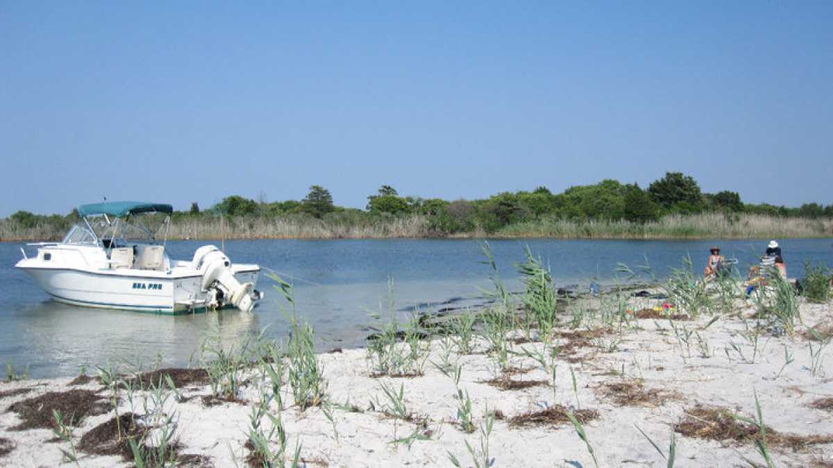 MEC&F Expert Engineers 1 fisherman killed, another injured after a 36feet speedboat crashes