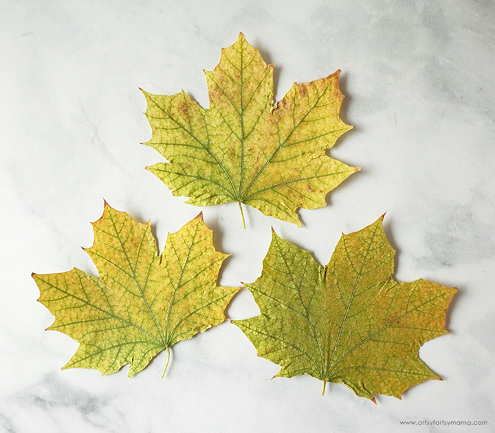 Resin Fall Leaf Coasters