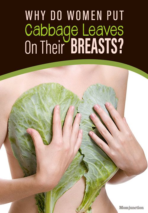 The Reason Why Women Put Cabbage Leaves On Their Breasts Will Surprise You!