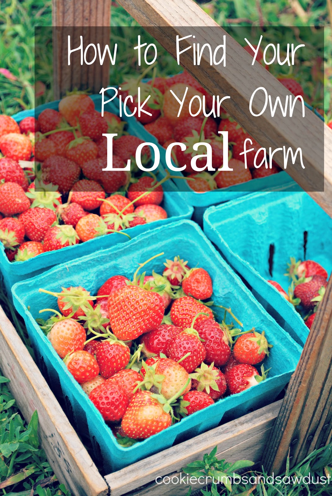 Cookie Crumbs & Sawdust pick your own