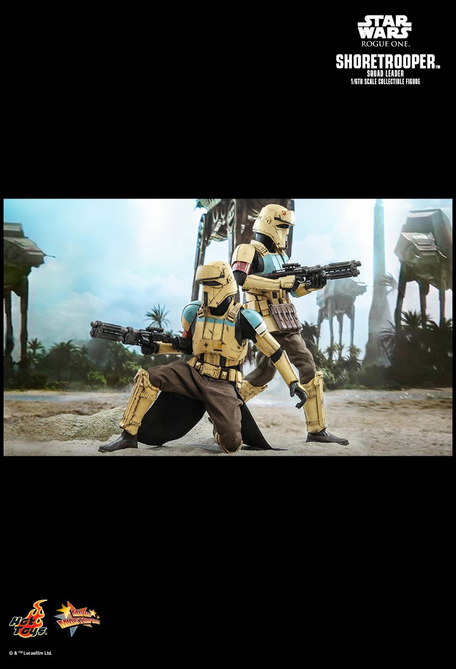 Shoretrooper Squad Leader