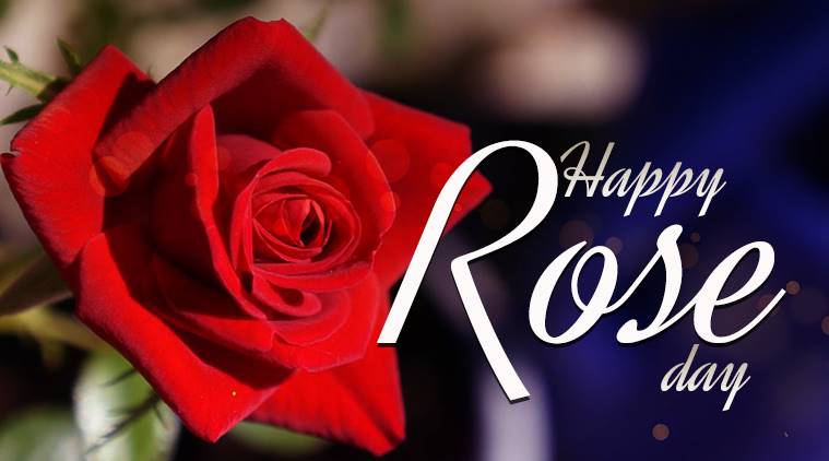173+ (Best) Happy Rose Day Quotes In Hindi  Rose Day Wishes In Hindi  Rose Day Shayari In Hindi  Rose Day Status In Hindi