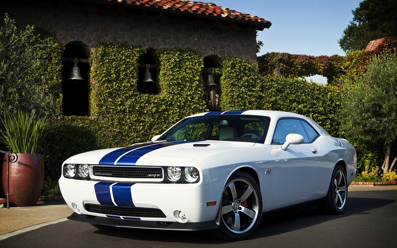 Dodge challenger 80
