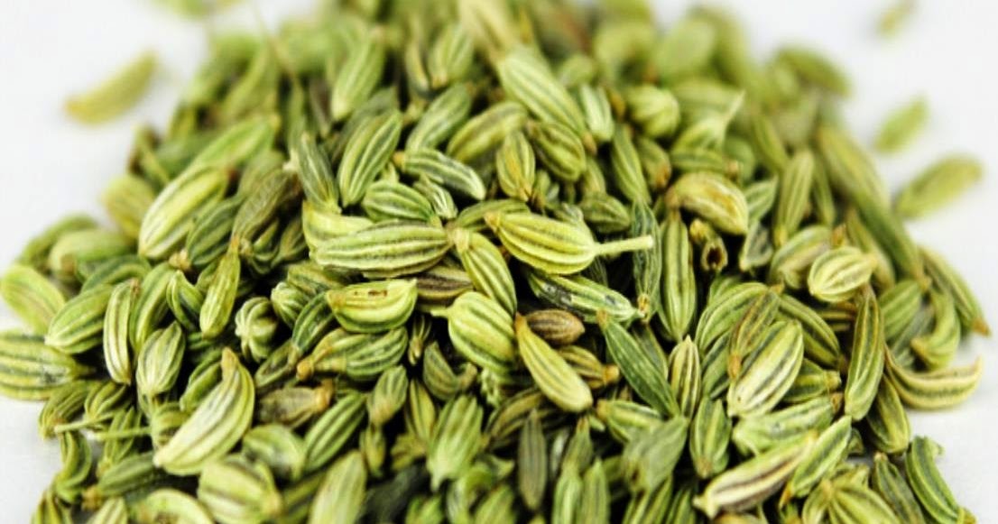 Daily Protein Lifestyle Amazing Benefits of Fennel seeds