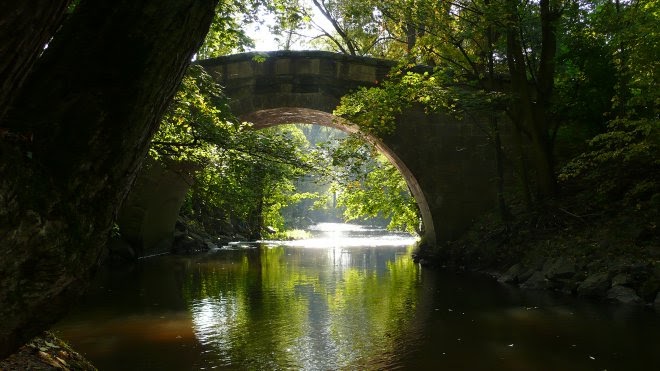 metamórphosis O Freund! Nur Rosen der Liebe pflanze in den Garten