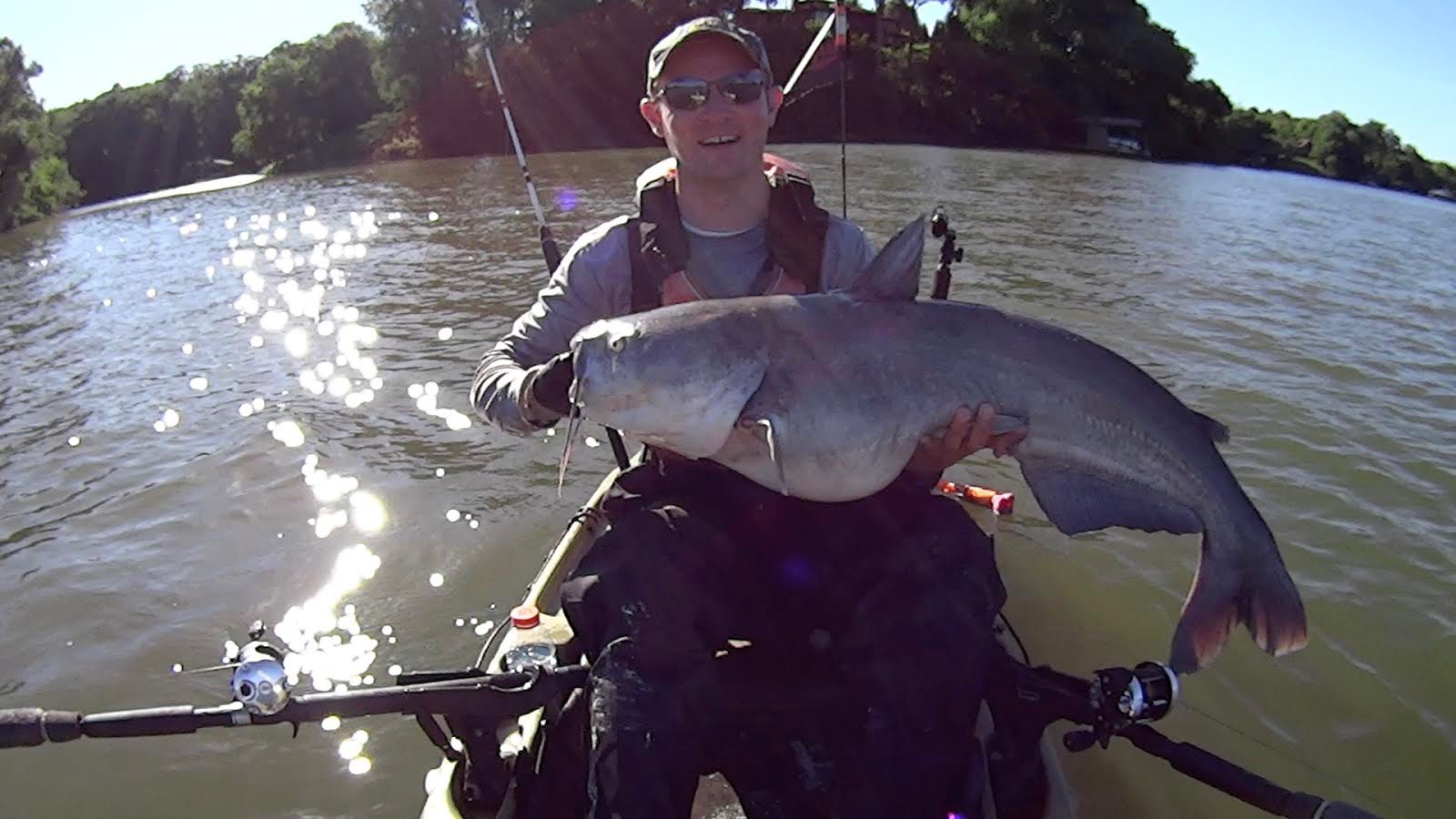 Surviving The Catfish Spawn Kayak Catfish