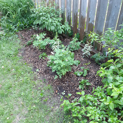 Toronto Riverdale Backyard Garden Makeover After by Paul Jung Gardening Services--a Small Toronto Gardening Services Company