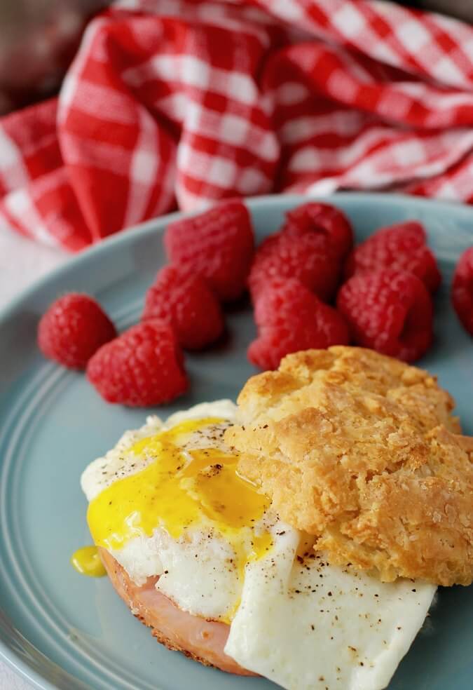 Sourdough Sandwich Biscuits Karen's Kitchen Stories
