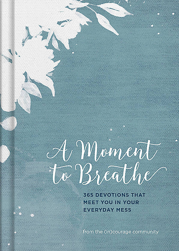 A Moment to Breathe: 365 Devotions That Meet You In Your Everyday Mess