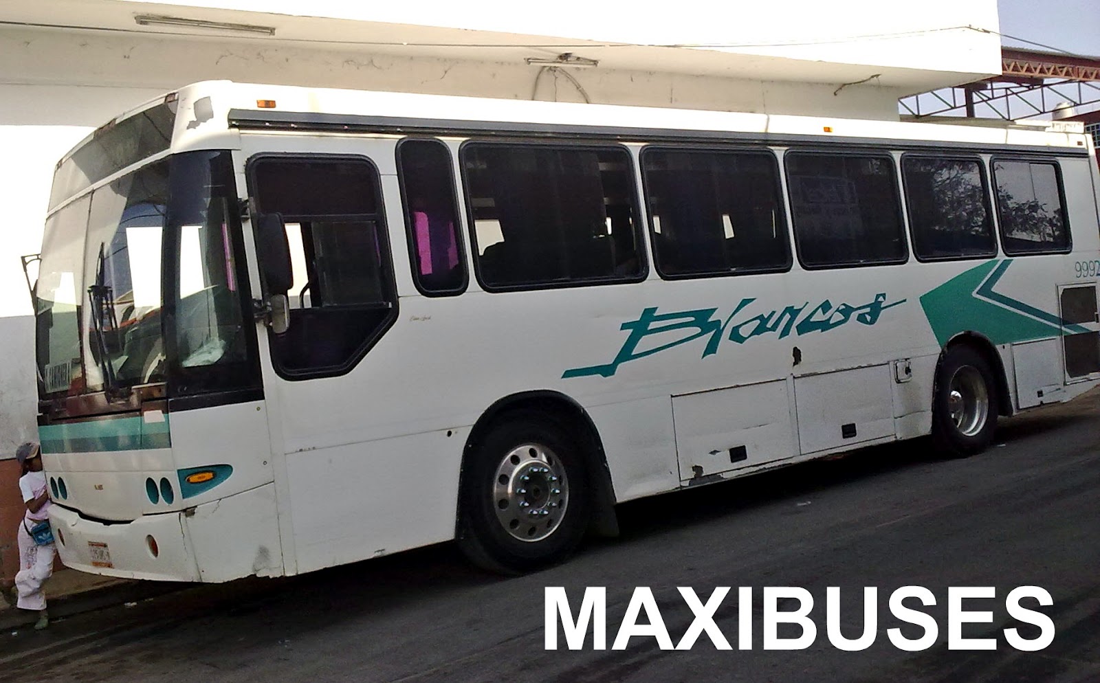 MAXIBUSES AUTOBUSES BLANCOS COORDINADOS ABC