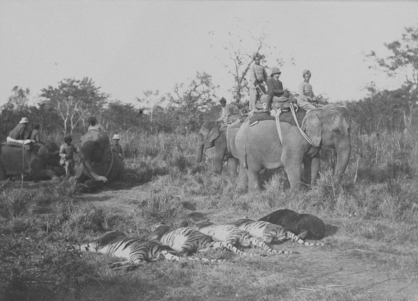 british royals india hunting trip 1911