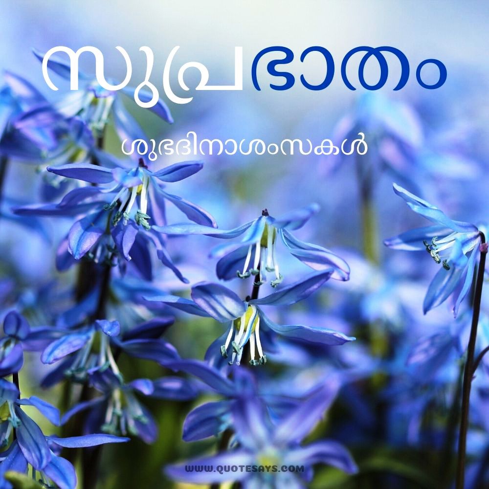 20 Subhravastraṁ Good Morning Images In Malayalam Quotesays