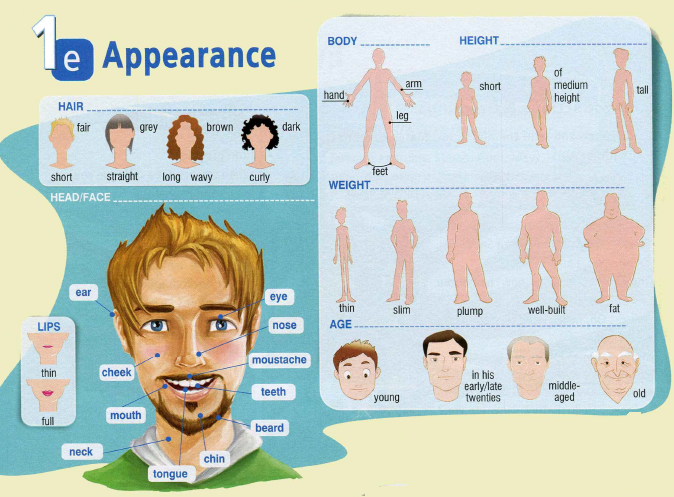 First appearance. Appearance 5 класс. Appearance Vocabulary. Appearance face. Describe appearance face.