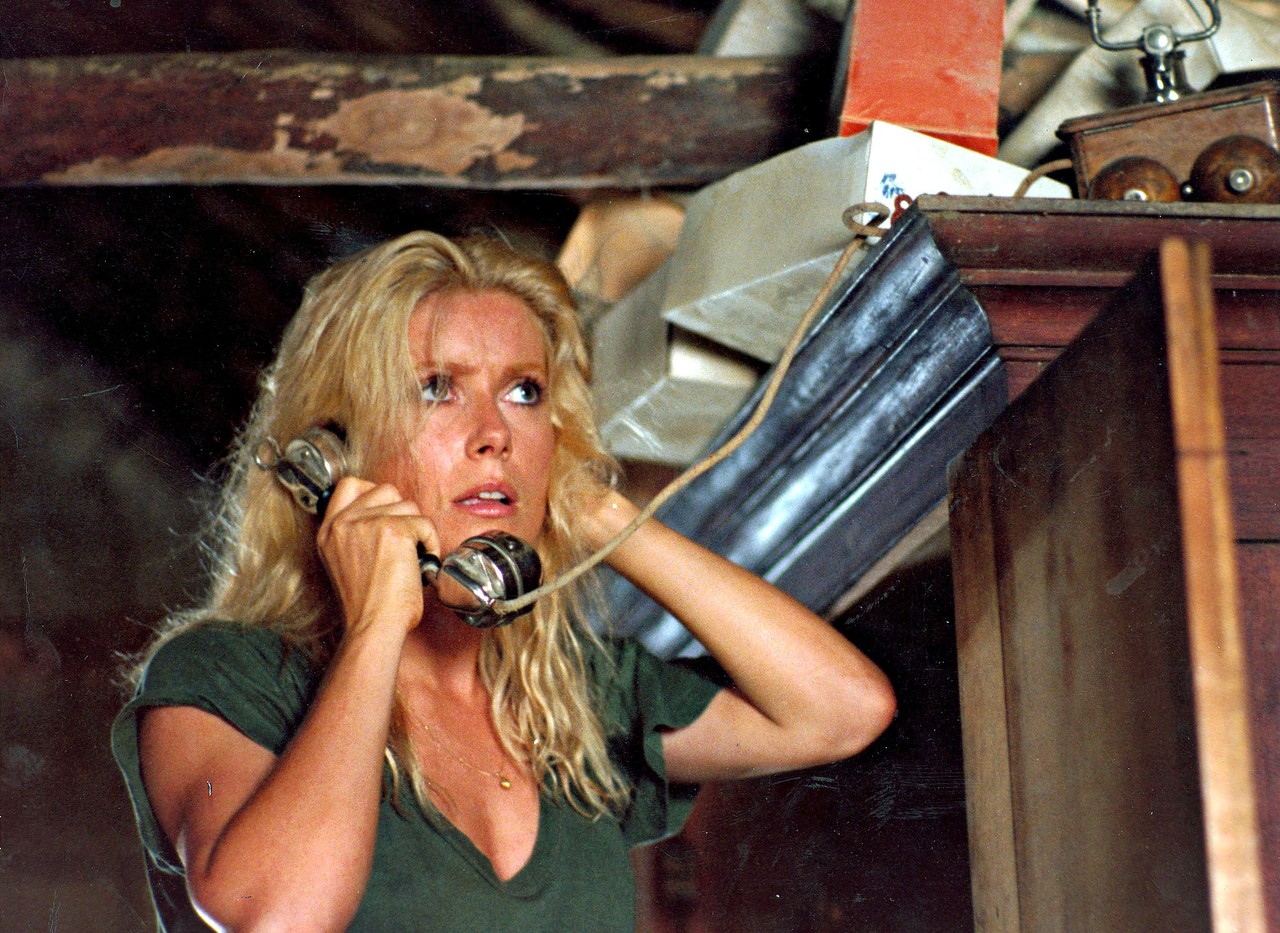 50 Beautiful Photos of French Actress Catherine Deneuve