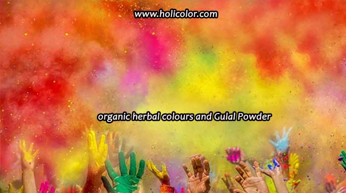 non toxic holi colours