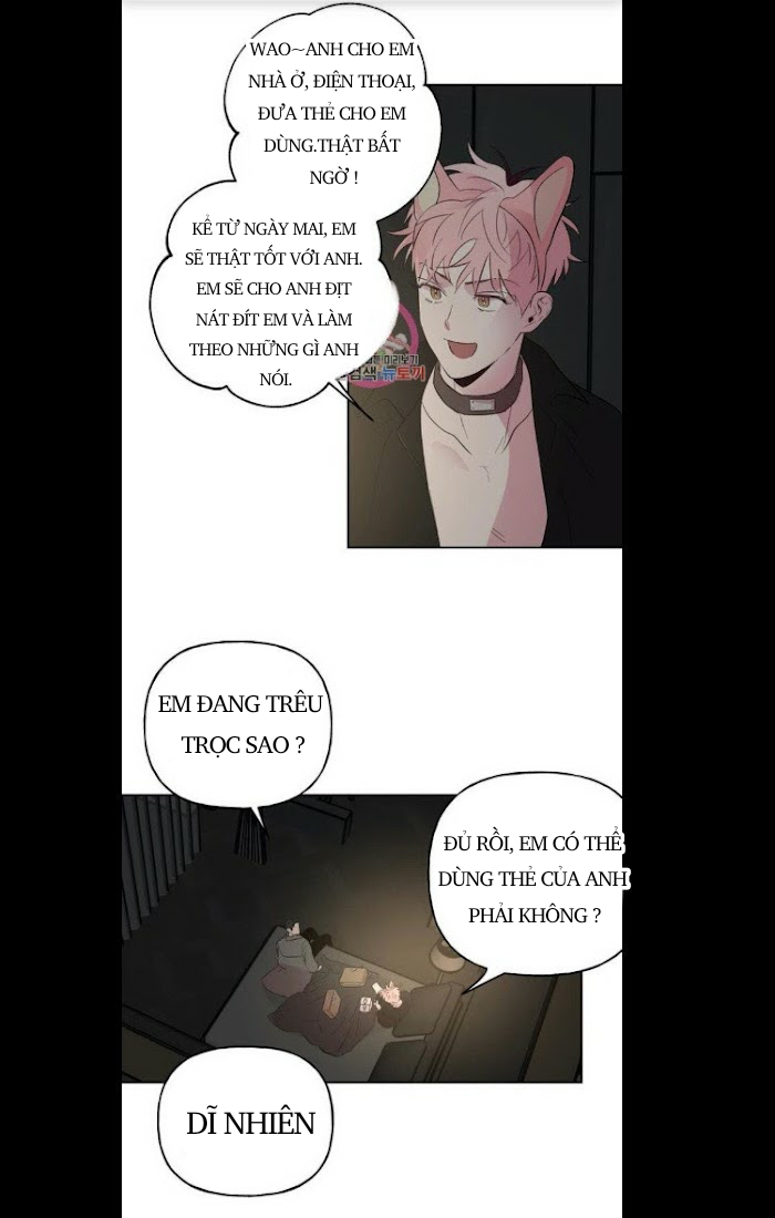 Đọc truyện Assorted Wildness - Chapter 26