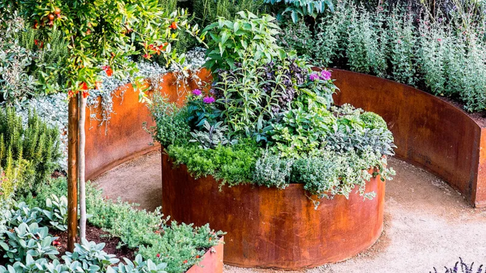 How to Start a Garden for Beginner