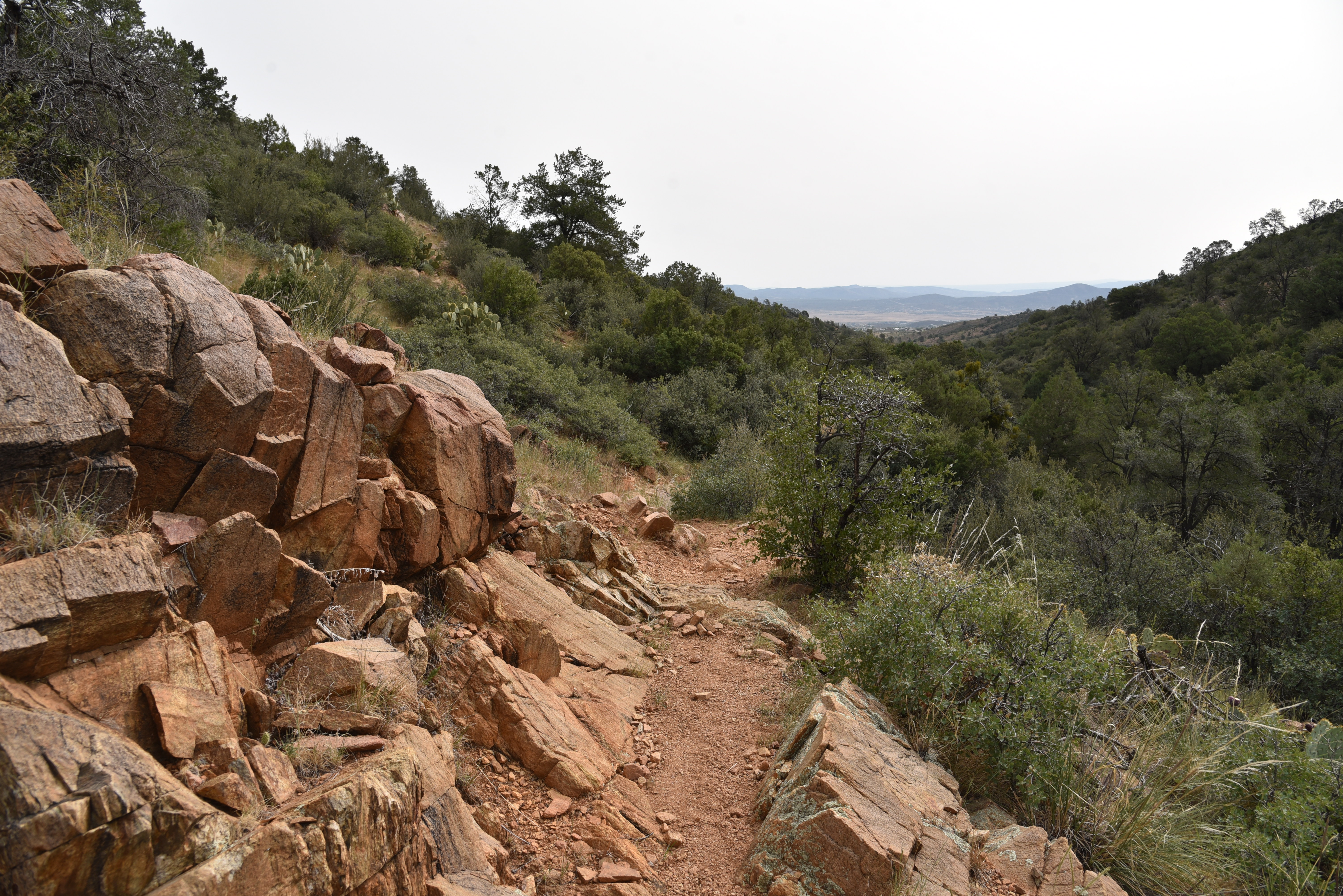 Arizona Hiking: Red Mountain Trail #43