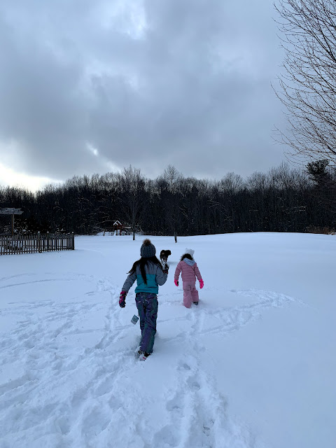 Ruple Farms - Playing in Snow