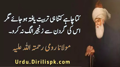 Rumi Quotes in Urdu