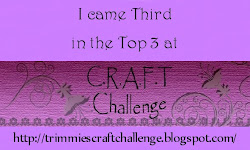 Winnaar top 3 , challenge 188