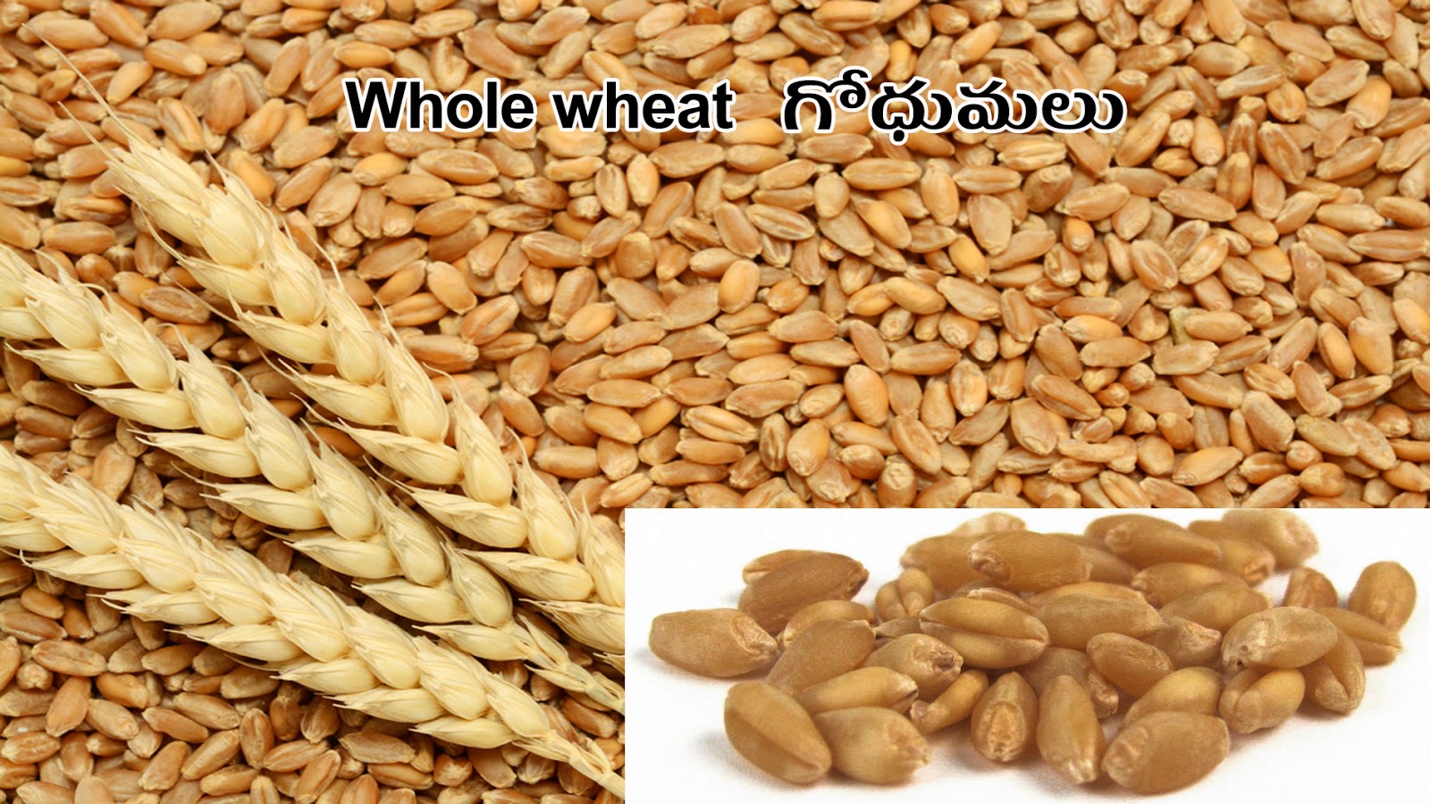 CEREALS DHAANYAALU Picture Dictionary English Telugu
